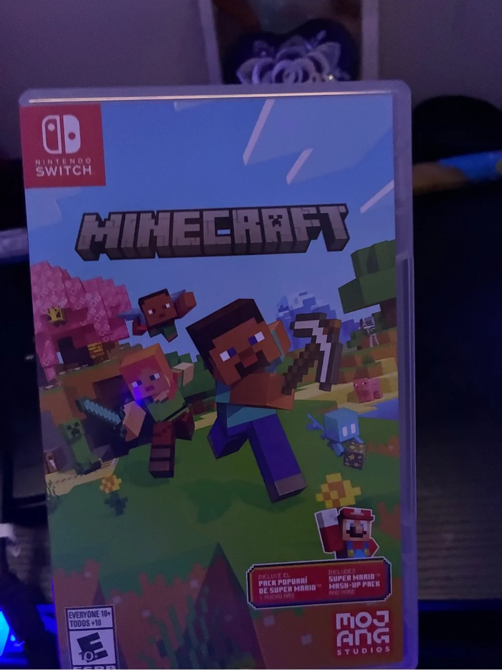 Nintendo Minecraft - Blue and Green Cover Artwork